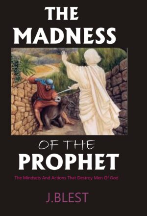 The Madness Of The Prophet - The Mindsets And Actions That Destroy Men Of God By J.Blest