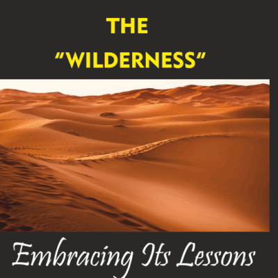 UNDERSTANDING THE WILDERNESS – Embracing Its Lessons By J.Blest